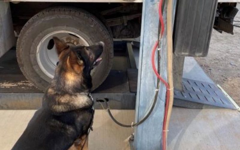 K-9 Thwarts Smuggling Attempt – Alerts to Liquid-Meth Drip Under Truck