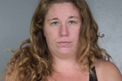 Myers Flat residential burglary arrest