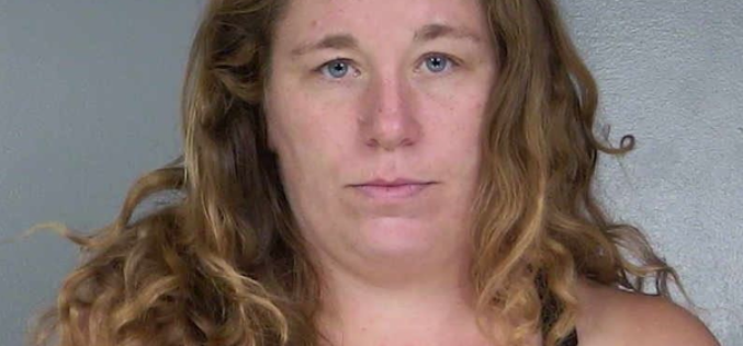 Myers Flat residential burglary arrest