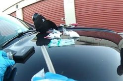 Woodland Man – Repeatedly Released on Zero Bail – Convicted of Drug Trafficking