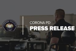 Man arrested in stabbing death of female