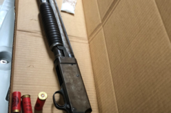 Woman prohibited from owning gun points loaded one at officers