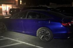 Suspects Arrested in Gang motivated Stabbing