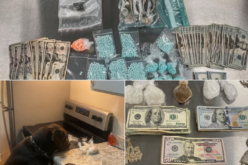 Two search warrants, lots of drugs confiscated