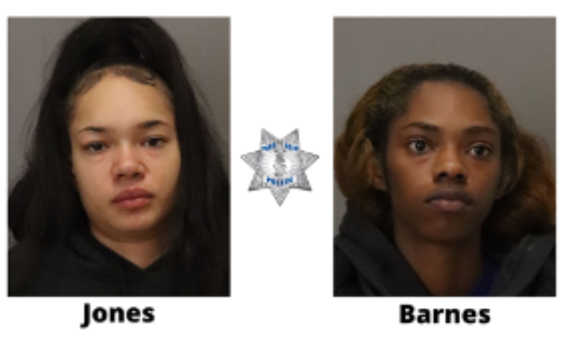 Large Group of Burglars Thwarted; Police Arrest Two