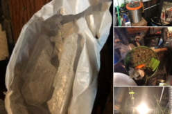 Home compliance check reveals honey oil lab