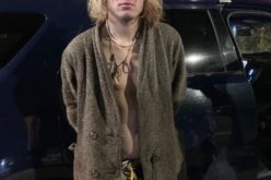 Man arrested for assault with a machete, sledge hammer