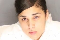 Woman arrested for stabbing homicide of her mother