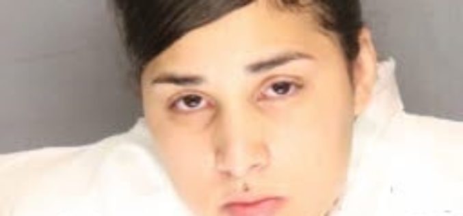 Woman arrested for stabbing homicide of her mother