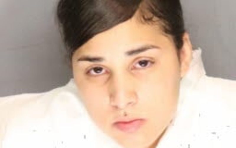 Woman arrested for stabbing homicide of her mother