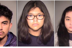 Carjacking Team Arrested