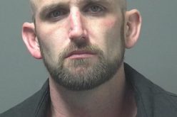 One of two suspects arrested for vehicle theft