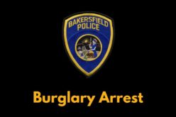 Four arrested in commercial burglary