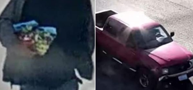 Attempted kidnapping charges on suspicious activity