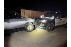 Petaluma Police: Man arrested after leading multi-agency pursuit, ramming patrol car