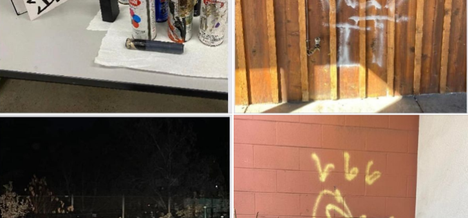 Vandal nabbed for his unlawful display