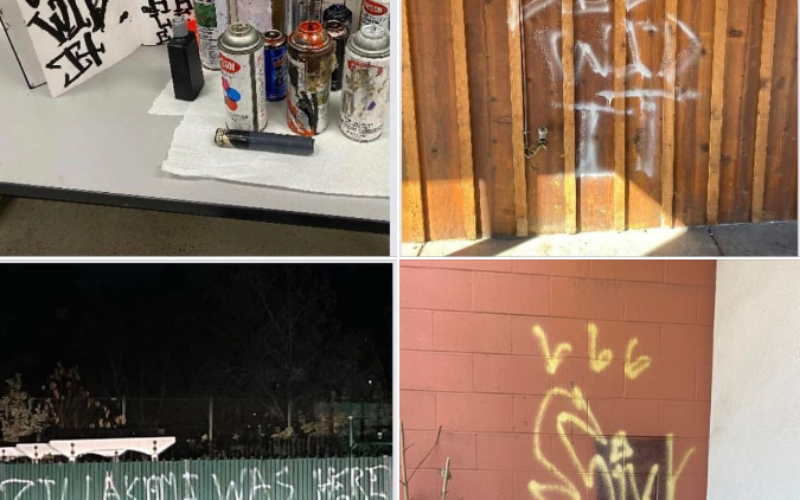 Vandal nabbed for his unlawful display