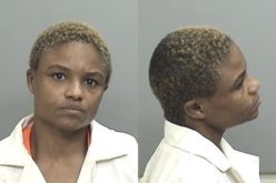 Woman arrested for domestic violence, resisting
