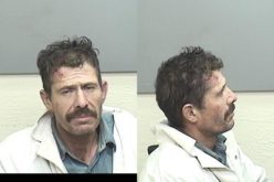 Man throws pool table balls at wife, attacks K-9 Bo