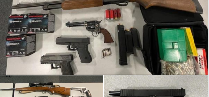 Gang Unit Detectives confiscate numerous guns and ammo