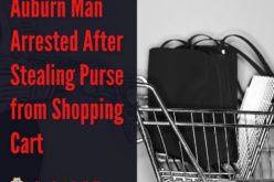 Purse snatching in Target parking lot in Auburn