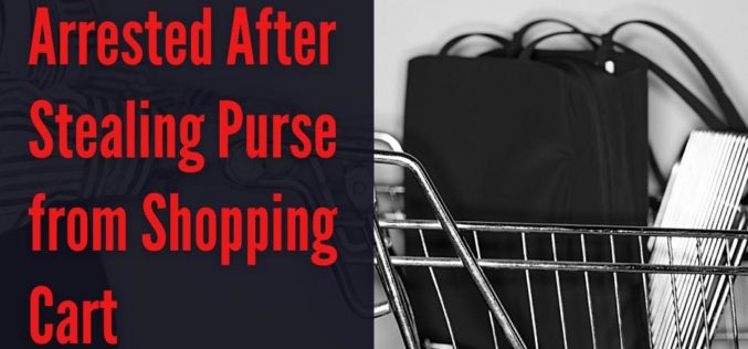 Purse snatching in Target parking lot in Auburn