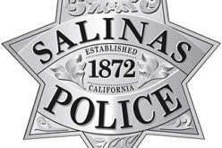 Vehicle theft, evading and conspiracy arrests