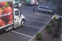 Plumber Faces Vandalism Charges for Pouring Acid in a Landscaping Planter