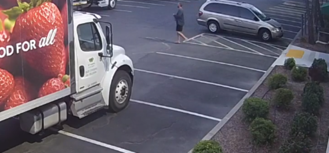 Plumber Faces Vandalism Charges for Pouring Acid in a Landscaping Planter