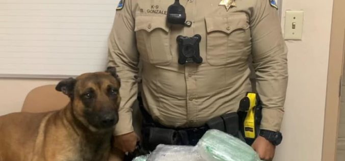 TCSO K9 Deputy Sniffs Out Drugs During Traffic Stop