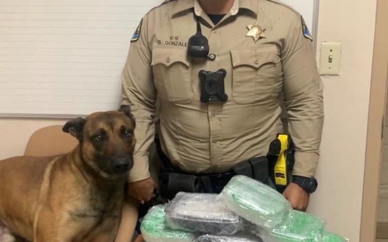 TCSO K9 Deputy Sniffs Out Drugs During Traffic Stop