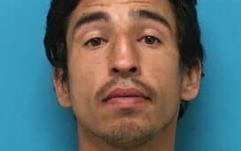 Suspect attacks two elderly men, one dies