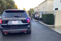 Female Car Thief Nabbed