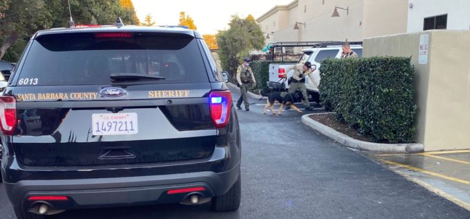 Female Car Thief Nabbed