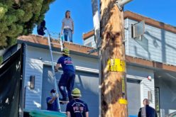 Home Invader Arrested