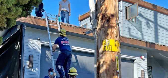 Home Invader Arrested