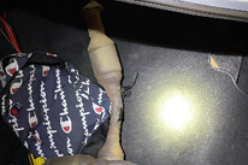 Catalytic Converter Thieves Nabbed After Car Chase