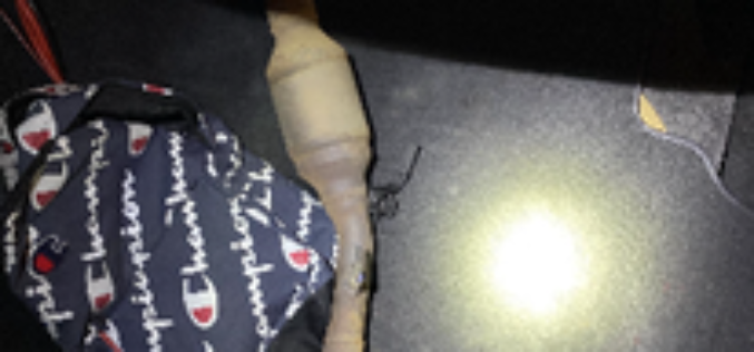 Catalytic Converter Thieves Nabbed After Car Chase