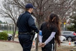 A Woman with a Long Arrest Record Crashes a Stolen Pickup Truck