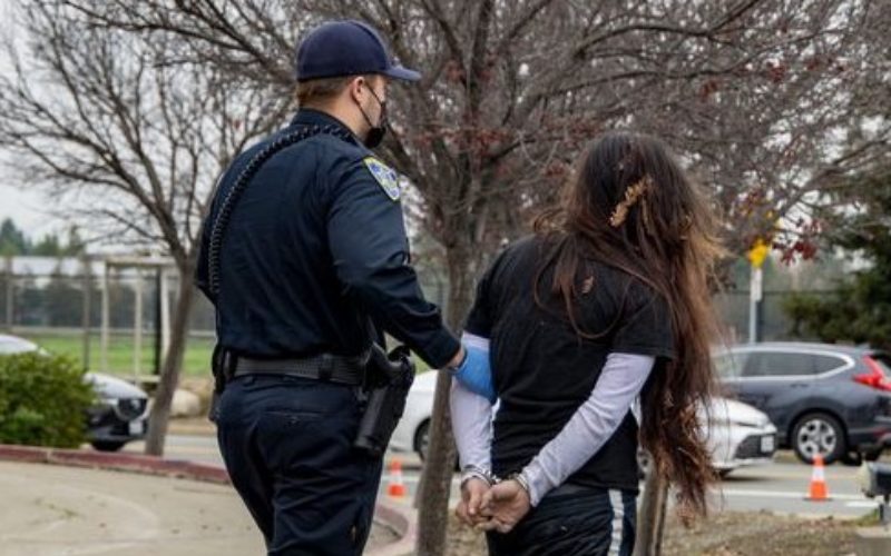 A Woman with a Long Arrest Record Crashes a Stolen Pickup Truck