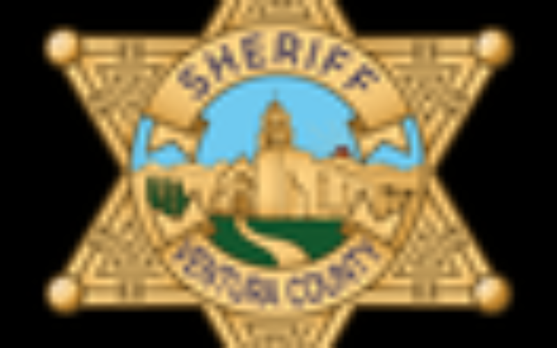 Expired Tags Lead to Arrest of ID Theft Ring