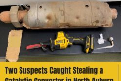 Thieving couple arrested close to Christmas