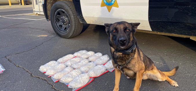 CHICKEN NUGGETS, COFFEE, AND METH?