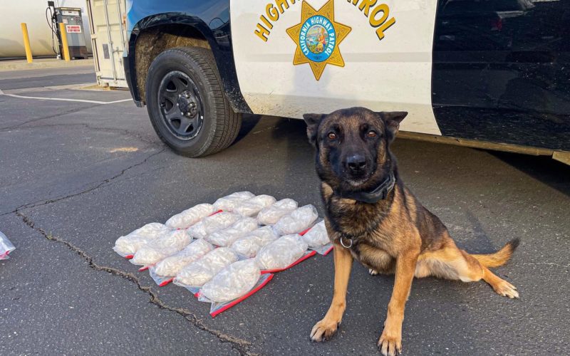 CHICKEN NUGGETS, COFFEE, AND METH?