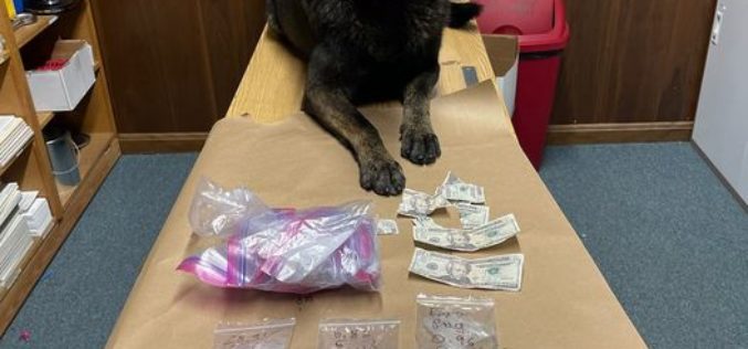 COUNTERFEIT BILL LEADS TO POSSESION OF METH FOR SALES INVESTIGATION