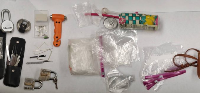 Real-Life Grinches Arrested!