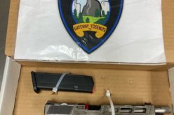 Drunk Driver Nearly Crashes into Patrol Car