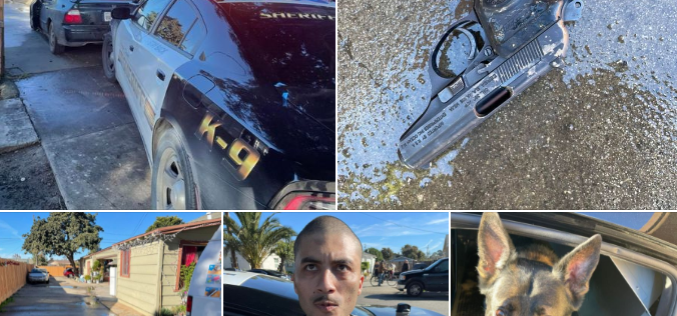 Attempted homicide suspect arrested with K-9 apprehension in Gonzales