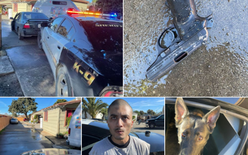 Attempted homicide suspect arrested with K-9 apprehension in Gonzales