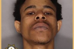 GREENLAWN WAY HOMICIDE INVESTIGATION